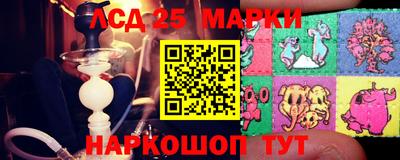 индика Аргун