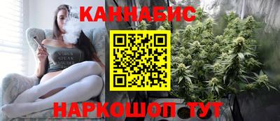 индика Аргун
