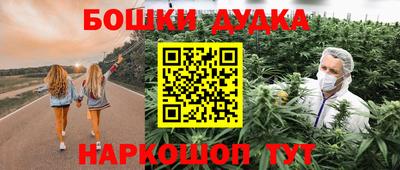 индика Аргун