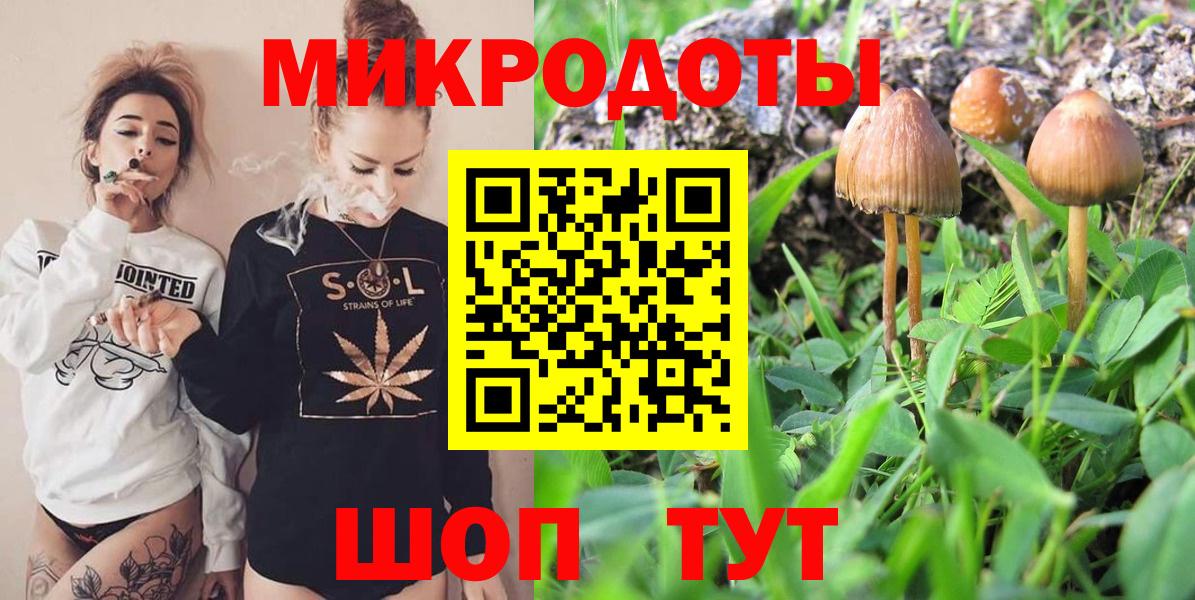 Галлюциногенные грибы Cubensis  Вход с VPN  Бугульма 